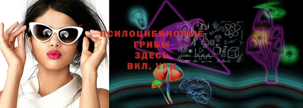 мет Дмитриев